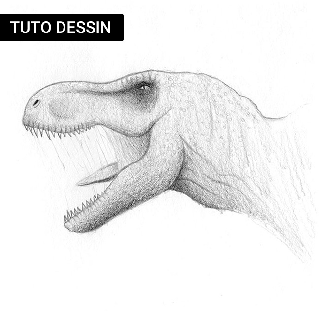 Comment dessiner un dinosaure tyrannosaure rex ?