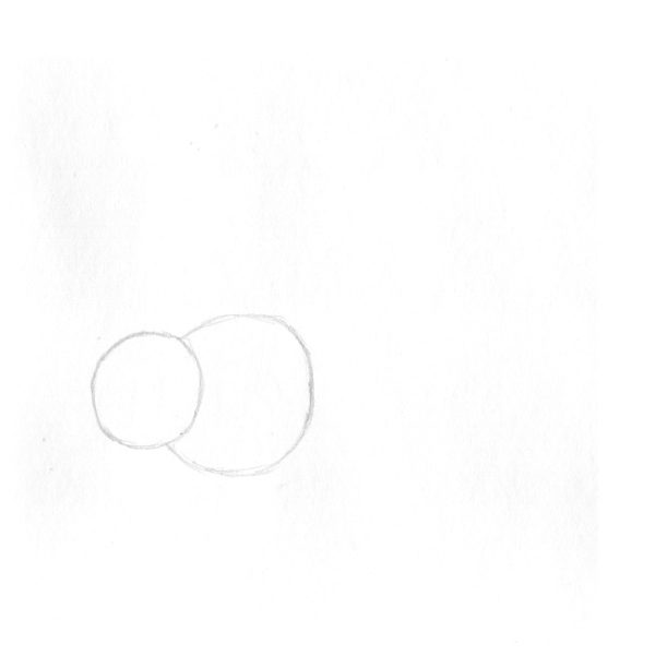 abeille-dessin1