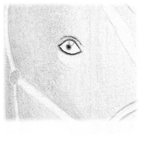 Toujours avec le crayon 2B, bien taillé, faites le contour de l'œil ainsi que celui de la paupière haute.