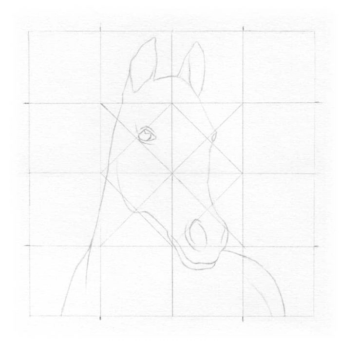Croquis du cheval