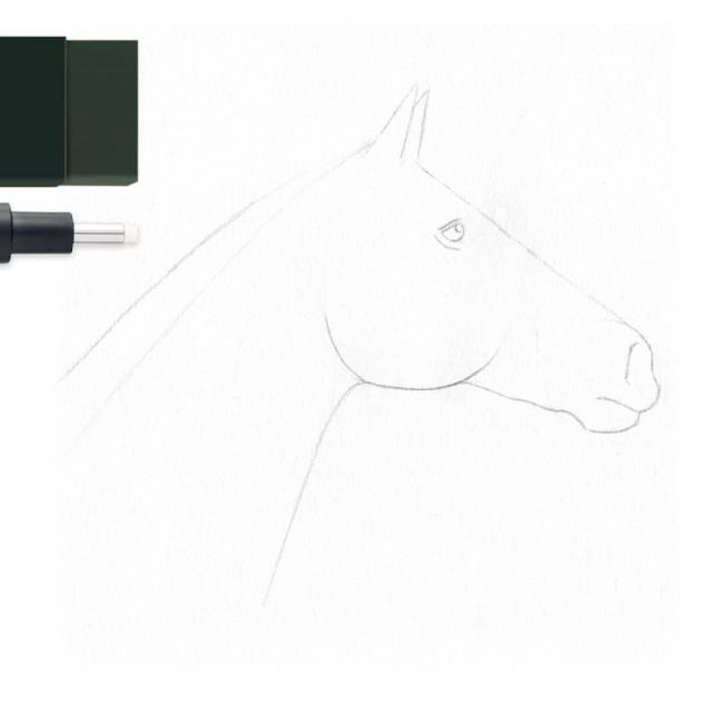 L'étape satisfaisante ! Gommez tous vos traits de constructions pour laissez apparaître votre cheval ! Vous pouvez utiliser une gomme normale ou une gomme de précision pour plus de facilité.